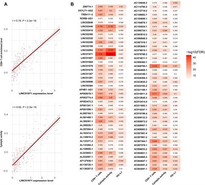 Identifying tumor immunity-associated molecular features in liver hepatocellular carcinoma by multi-omics analysis